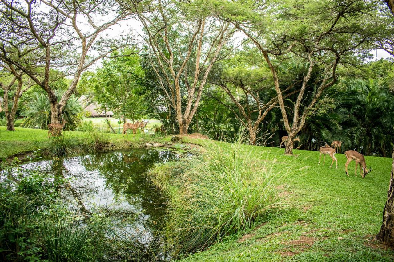 Inyamatane Luxury Lodge Hazyview Luaran gambar