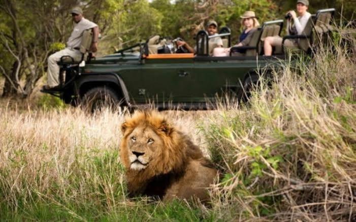 Inyamatane Luxury Lodge Hazyview Luaran gambar